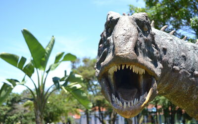 Dinosaur replica