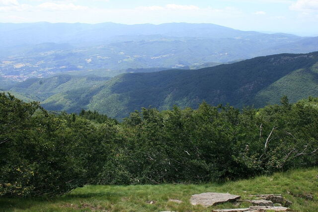 Countryside around Arezzo