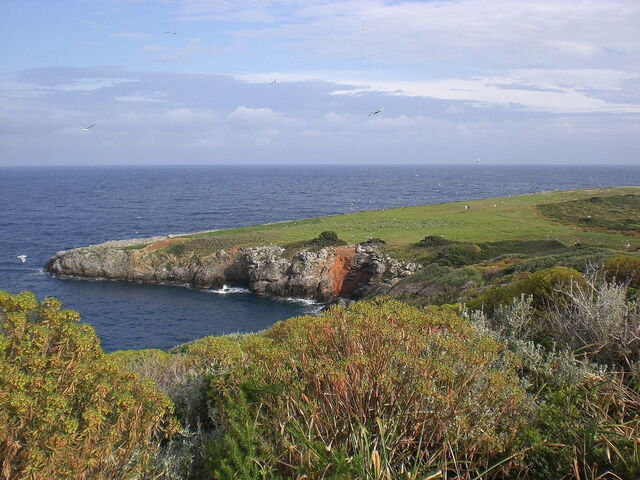 Giannutri Island