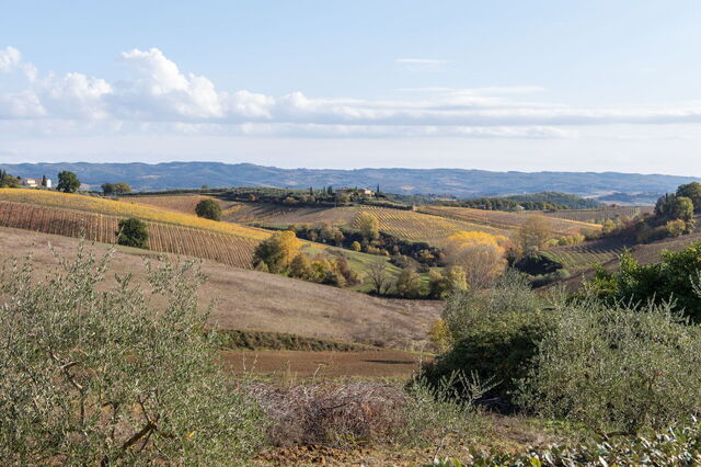 Villa L'elsa Beautiful Country Home, views