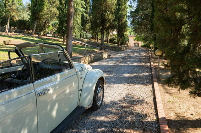 Villa Carniani, driveway