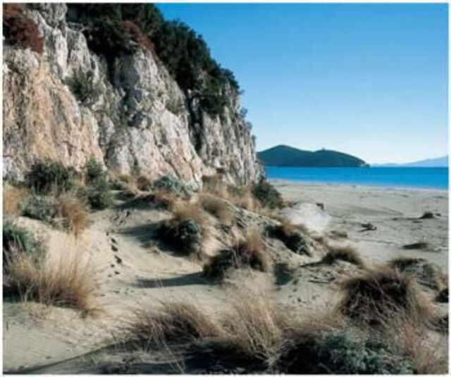 Dune Dell'Uccellina