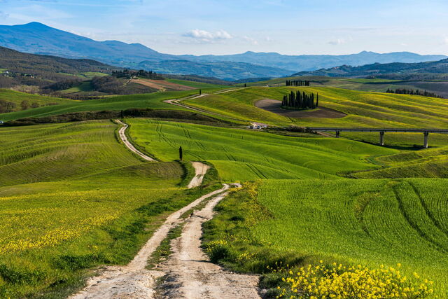 A road in Tuscany
