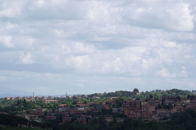 A Tuscan skyline at Castelnuovo Berardenga