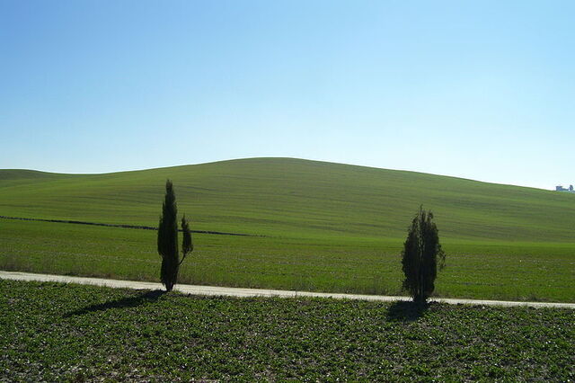 view of val di orcia road
