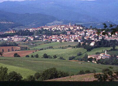 Bibbiena Landscape