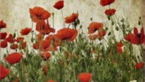 At Least You're In Tuscany