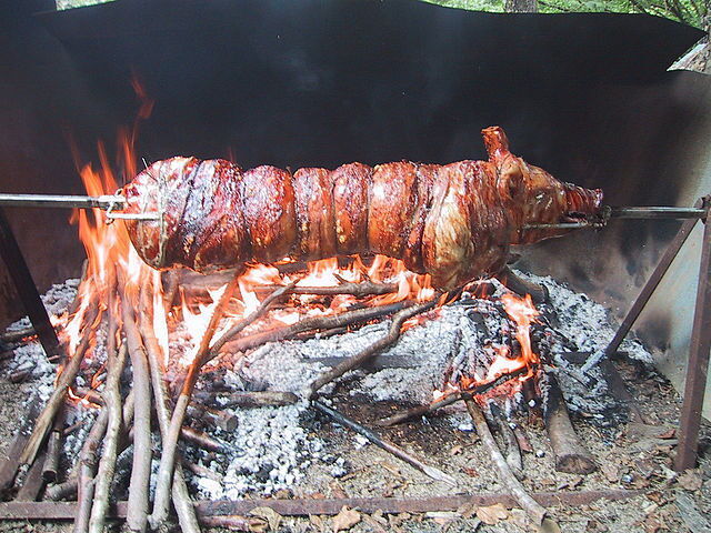 Porchetta on the fire