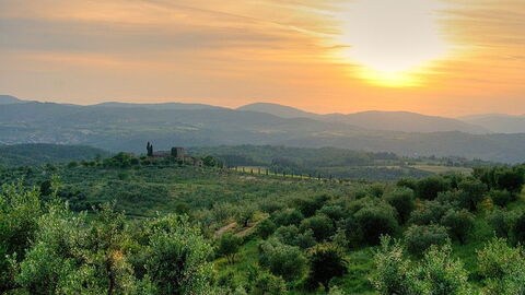View of Florentine countryside