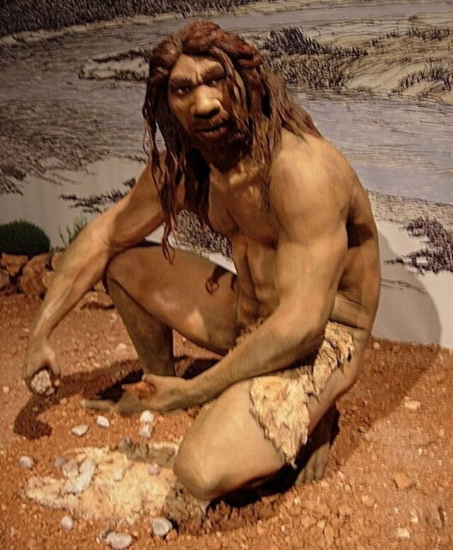Neanderthal man model