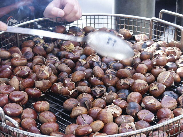 chestnuts