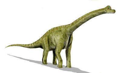 brachiosaurus