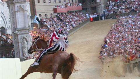 Horse race of Palio di Siena