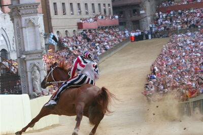 Horse race of Palio di Siena
