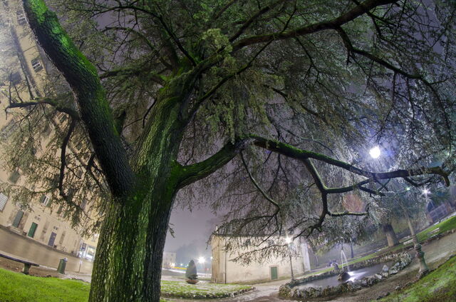 Lucca by night