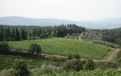 View of Val di Chiana