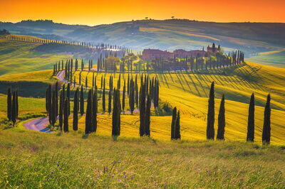 Tuscan scenery in summer