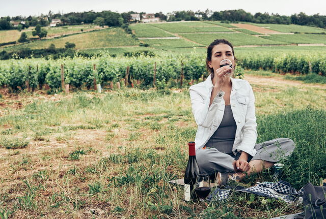 Picnic in a vineyard