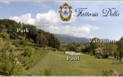 Fattoria Della Nave View