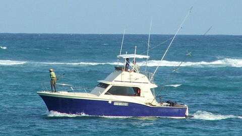 Boat fishing at sea