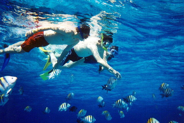 Snorkelling off the Tuscan coast