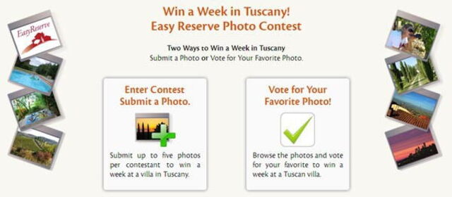 Photo Contest