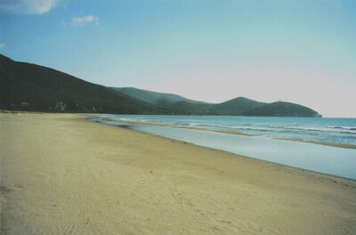 Marina di Alberese nudist beach