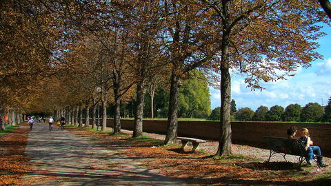 Walkway along the Walls of Lucca