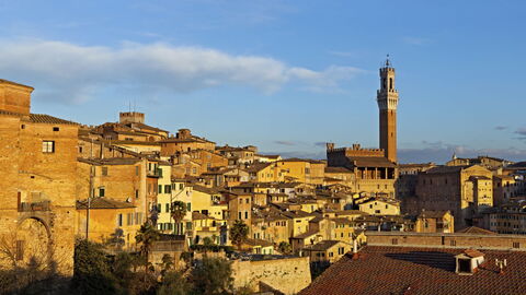 Siena view