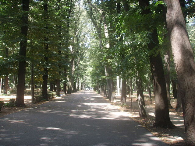 Pathway in Parco delle Cascine