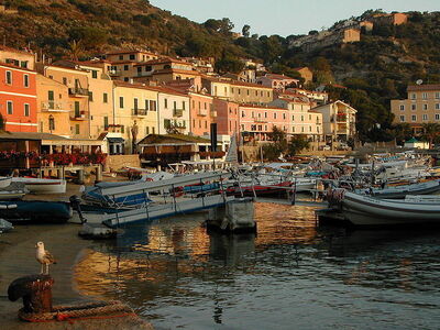 Boats at Giglio harbour