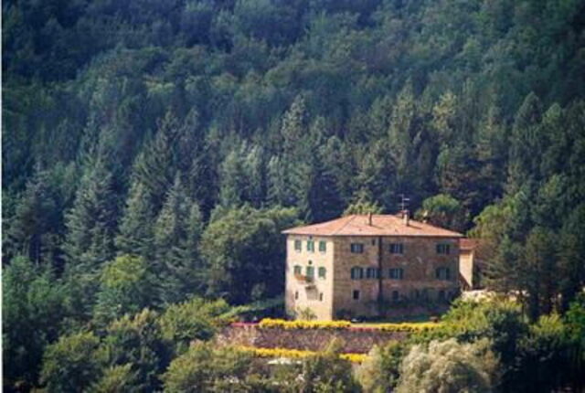 Palazzo Rosadi's Surroundings