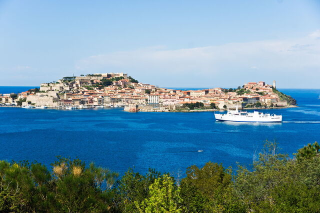 View of Elba Island