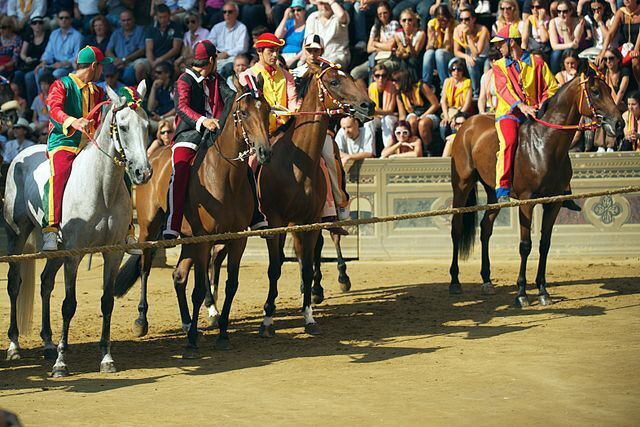 Start line of the Palio