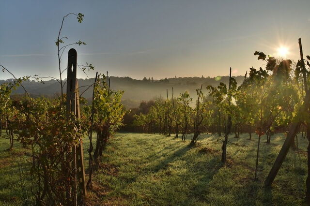 Orcia Valley