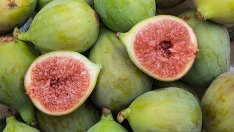 Figs