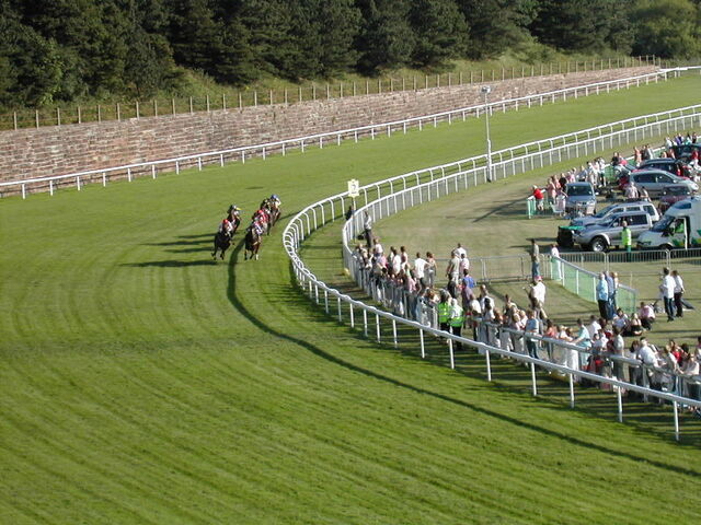 grass race track