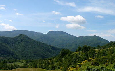 The forested valley of Casentino