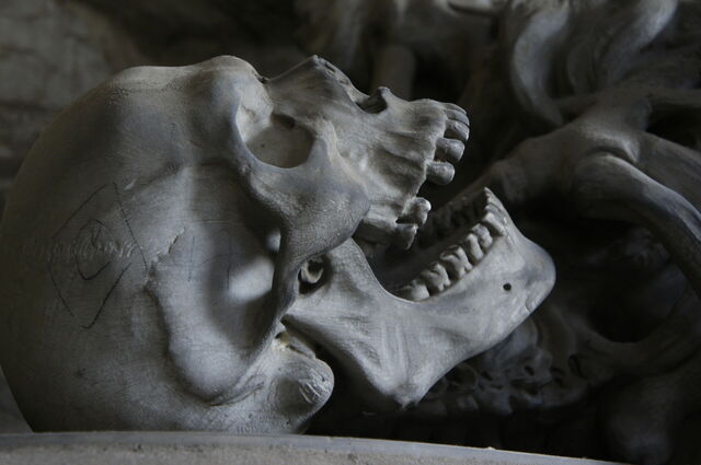 Skull