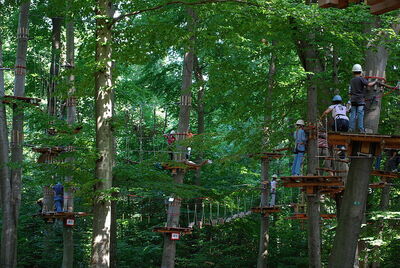 Challenge yourself to a high ropes course!