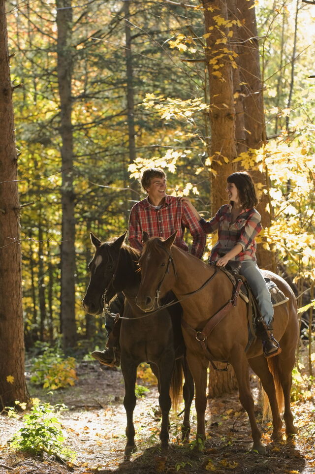 Romantic horse trail