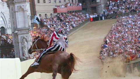 Image palio di Siena