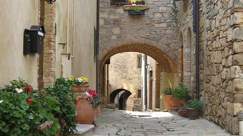 Cobbled street in Bibbona