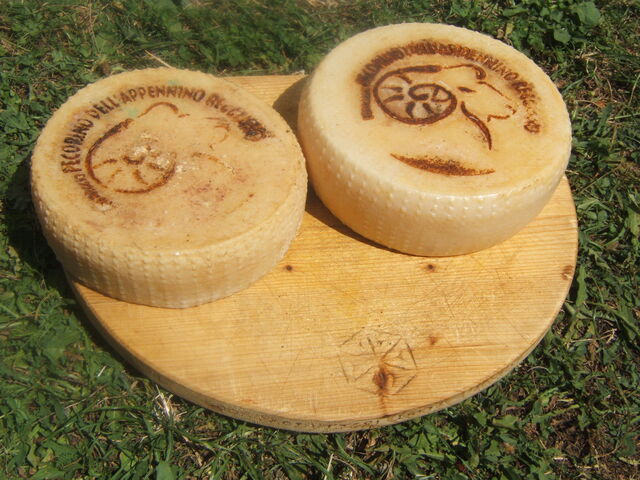 Circle slabs of pecorino