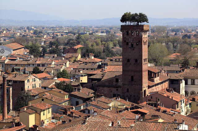 View of Torre Guinigi