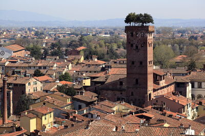 View of Torre Guinigi