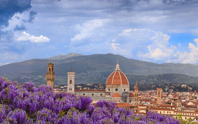 View from the Bardini Gardens