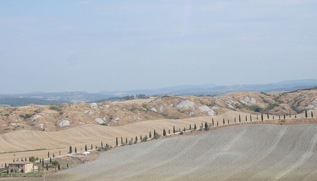 Landscape of Accona desert