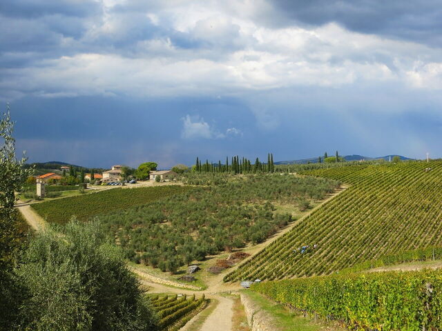 Chianti landscape