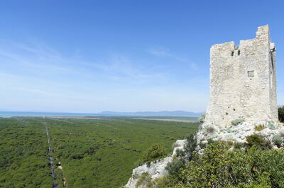 View from the tower of Giglio